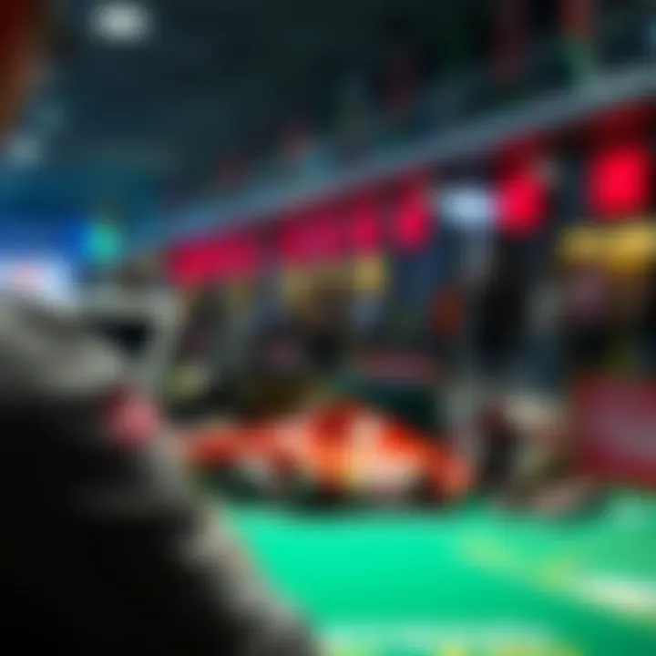 Analyzing market trends in Formula 1 betting